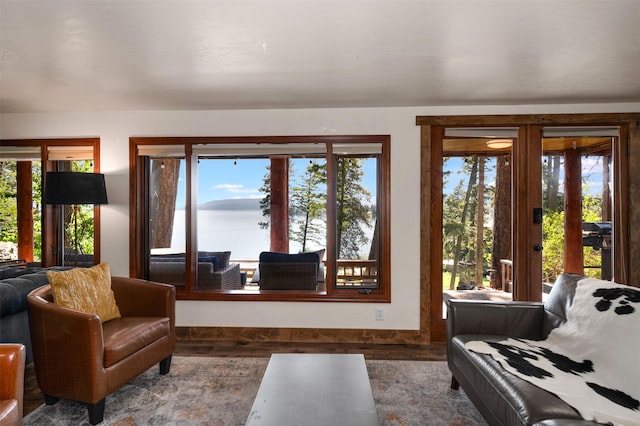 14690 Shore Acres Dr, Bigfork, MT 59911 - living room featuring healthy amount of natural light, wood finished floors, baseboards, and french doors