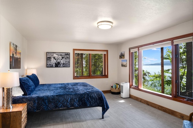 14690 Shore Acres Dr, Bigfork, MT 59911 - bedroom with carpet, a water view, and baseboards