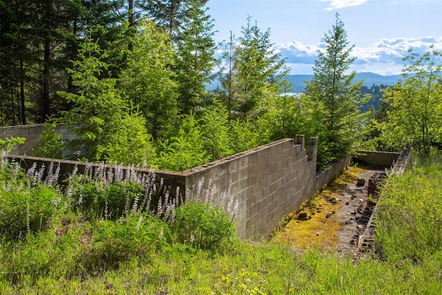 14690 Shore Acres Dr, Bigfork, MT 59911 - view of yard with a mountain view