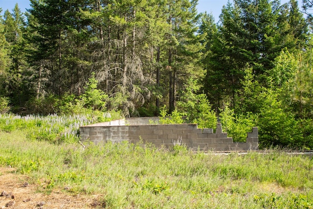 14690 Shore Acres Dr, Bigfork, MT 59911 - view of yard with a wooded view