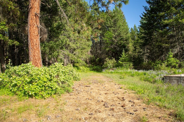 14690 Shore Acres Dr, Bigfork, MT 59911 - view of tree filled area