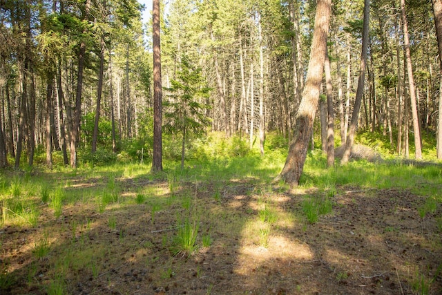 14690 Shore Acres Dr, Bigfork, MT 59911 - view of woods