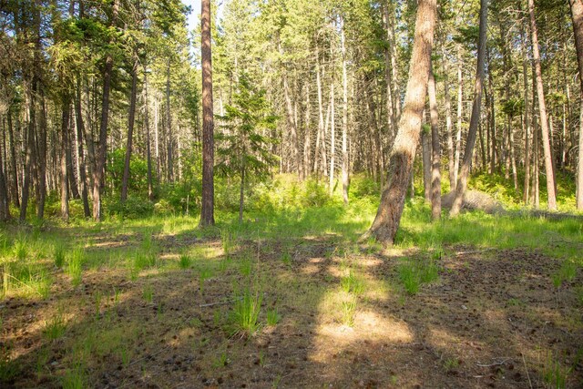 14690 Shore Acres Dr, Bigfork, MT 59911 - view of tree filled area