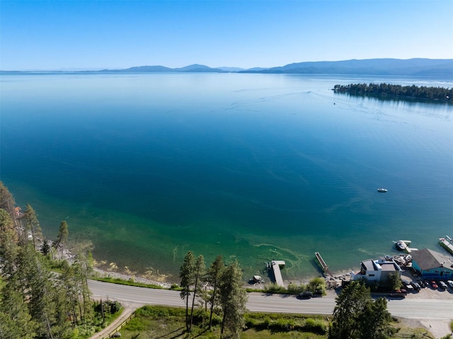 14690 Shore Acres Dr, Bigfork, MT 59911 - water view with a mountainous background
