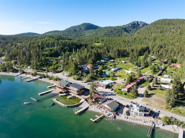 14690 Shore Acres Dr, Bigfork, MT 59911 - aerial overview of property's location featuring a forest and a water and mountain view