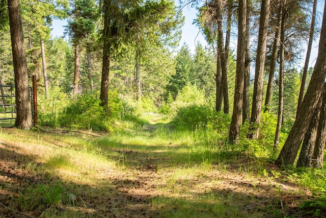 14690 Shore Acres Dr, Bigfork, MT 59911 - view of wooded area