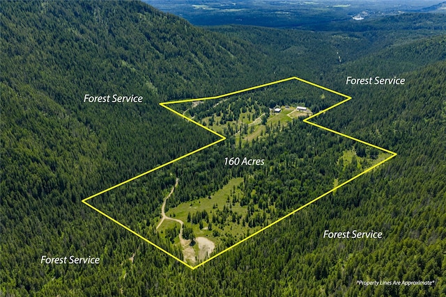 189 Blue Creek Rd, Heron, MT 59844 - aerial overview of property's location featuring a forest, property parcel outlined, and mountains