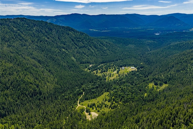 189 Blue Creek Rd, Heron, MT 59844 - view of mountain background with a forest