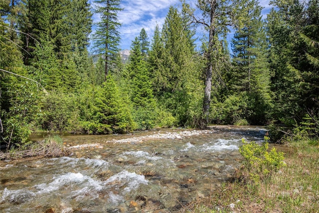 189 Blue Creek Rd, Heron, MT 59844 - view of tree filled area