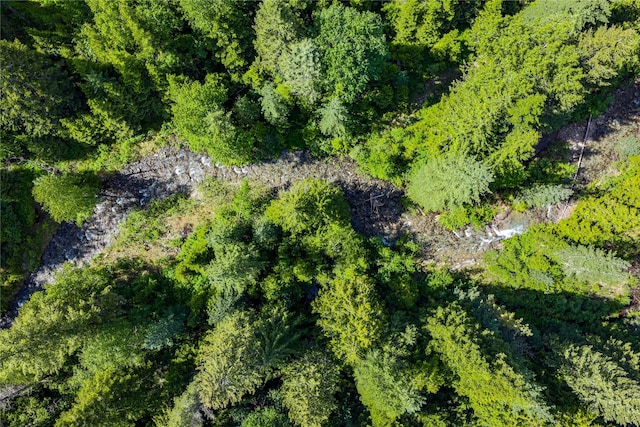189 Blue Creek Rd, Heron, MT 59844 - aerial view of property's location