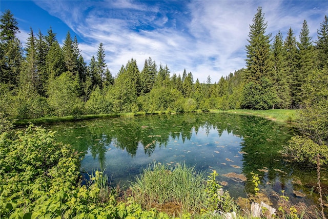 189 Blue Creek Rd, Heron, MT 59844 - water view featuring a heavily wooded area
