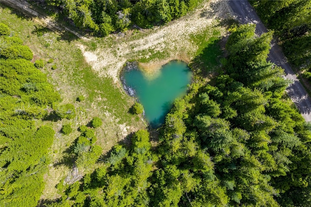 189 Blue Creek Rd, Heron, MT 59844 - bird's eye view of a nearby body of water