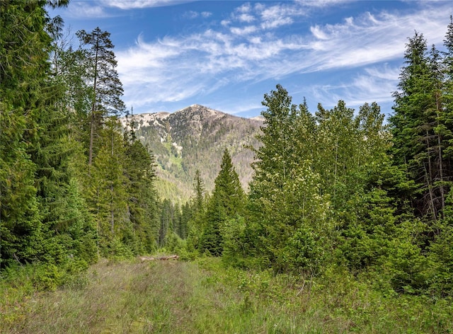 189 Blue Creek Rd, Heron, MT 59844 - view of mountain backdrop with a heavily wooded area