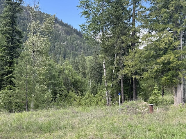 189 Blue Creek Rd, Heron, MT 59844 - view of wooded area