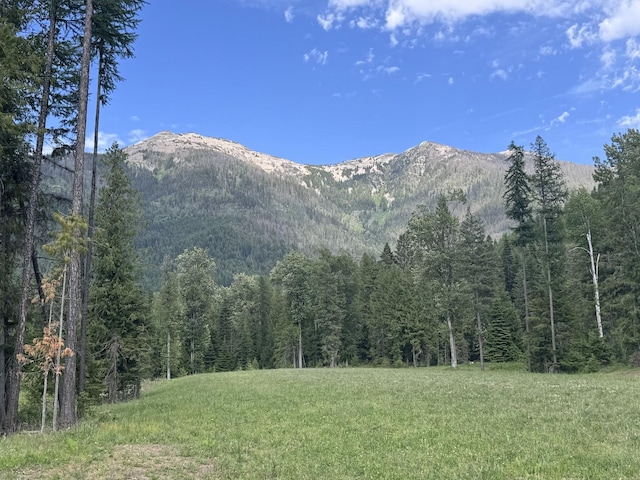 189 Blue Creek Rd, Heron, MT 59844 - mountain view with a heavily wooded area