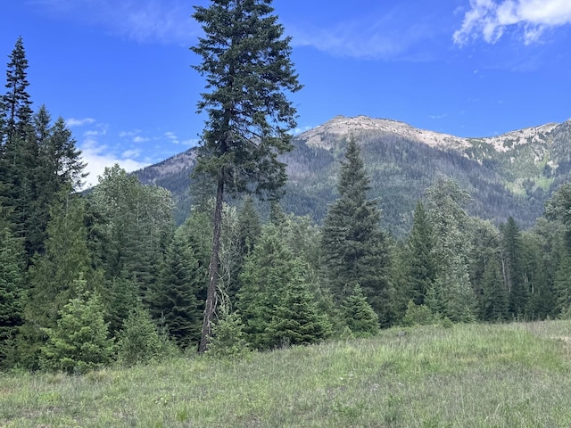 189 Blue Creek Rd, Heron, MT 59844 - mountain view with a forest