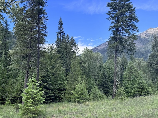 189 Blue Creek Rd, Heron, MT 59844 - view of mountain background featuring a forest