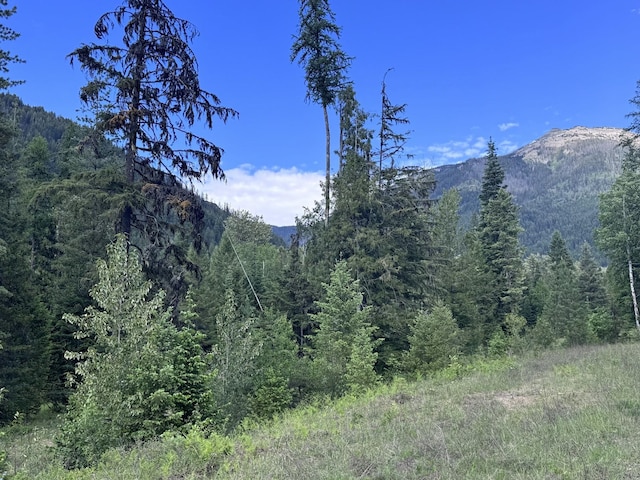 189 Blue Creek Rd, Heron, MT 59844 - mountain view with a forest