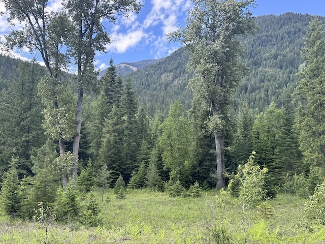 189 Blue Creek Rd, Heron, MT 59844 - view of mountain background with a forest