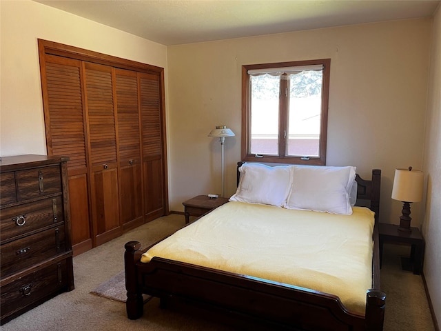 1114 Creek Crossing Rd, Missoula, MT 59802 - bedroom with light carpet and a closet