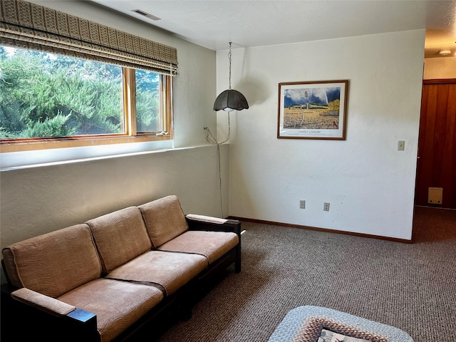 1114 Creek Crossing Rd, Missoula, MT 59802 - sitting room featuring carpet and baseboards