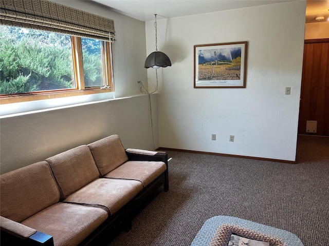 1114 Creek Crossing Rd, Missoula, MT 59802 - living room featuring carpet and baseboards