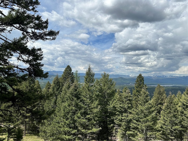340 Elkhorn Rd, Seeley Lake, MT 59868 - view of mountain backdrop featuring a heavily wooded area