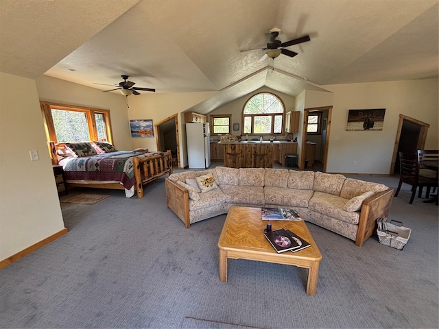 6900 Nez Perce Rd, Darby, MT 59829 - living area with a ceiling fan, carpet floors, vaulted ceiling, and baseboards