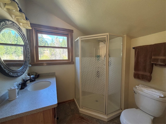 6900 Nez Perce Rd, Darby, MT 59829 - bathroom with vaulted ceiling, toilet, vanity, a shower stall, and a textured ceiling