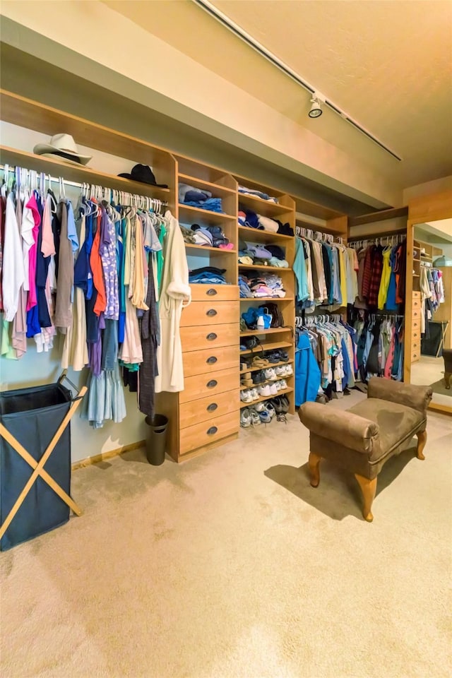 6900 Nez Perce Rd, Darby, MT 59829 - walk in closet with carpet floors