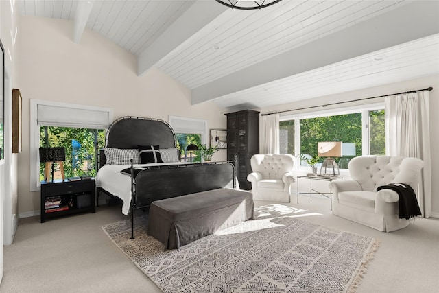 14833 Sunburst Dr, Bigfork, MT 59911 - bedroom with carpet and wood ceiling