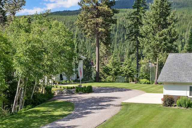 14833 Sunburst Dr, Bigfork, MT 59911 - view of home's community featuring a wooded view, a yard, and driveway