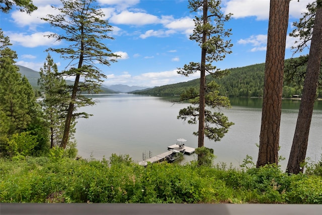 14833 Sunburst Dr, Bigfork, MT 59911 - water view featuring a mountain backdrop and a dock
