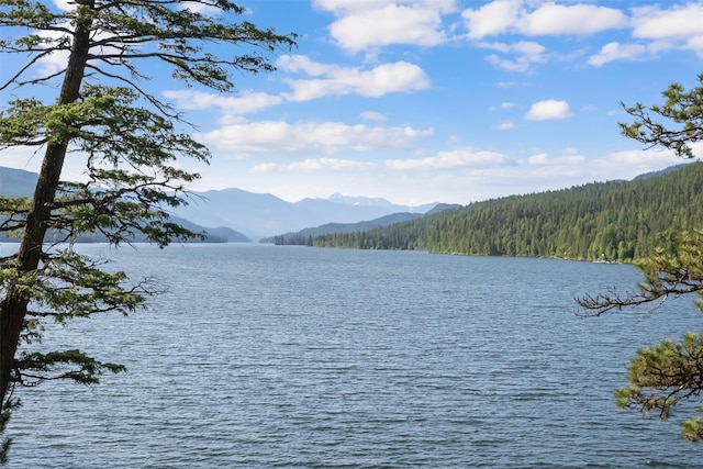14833 Sunburst Dr, Bigfork, MT 59911 - water view featuring a forest and mountains
