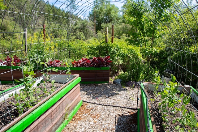 9230 Mt Highway 35, Bigfork, MT 59911 - view of yard featuring a vegetable garden