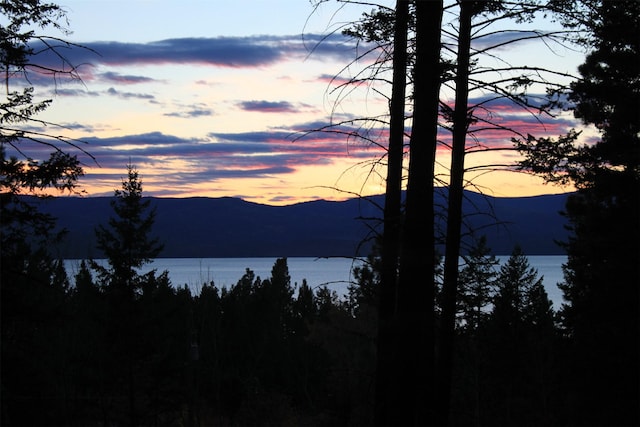9230 Mt Highway 35, Bigfork, MT 59911 - water view with a mountainous background