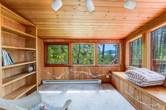 9230 Mt Highway 35, Bigfork, MT 59911 - sunroom with baseboard heating, plenty of natural light, wood ceiling, carpet, and wooden walls