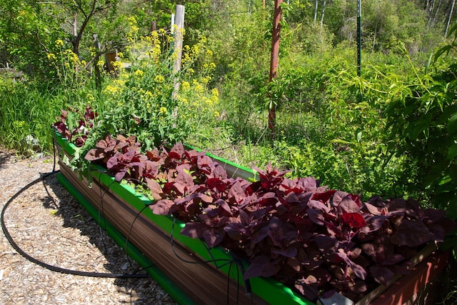 9230 Mt Highway 35, Bigfork, MT 59911 - exterior view of a vegetable garden