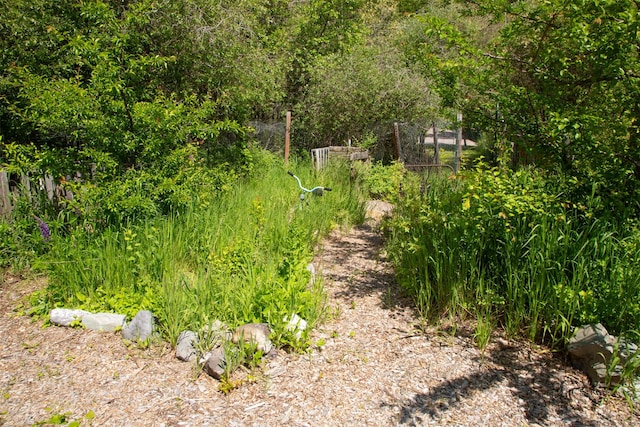 9230 Mt Highway 35, Bigfork, MT 59911 - view of yard