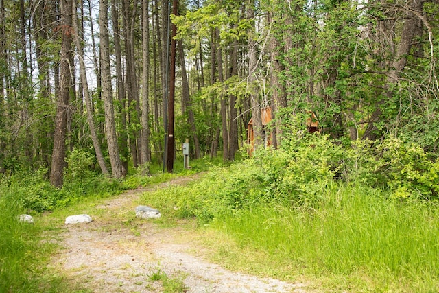 9230 Mt Highway 35, Bigfork, MT 59911 - view of tree filled area