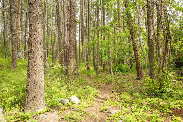 9230 Mt Highway 35, Bigfork, MT 59911 - view of woods