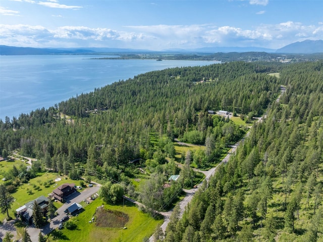9230 Mt Highway 35, Bigfork, MT 59911 - aerial view of property's location featuring a forest and a water and mountain view