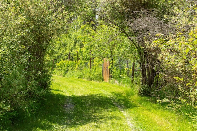 9230 Mt Highway 35, Bigfork, MT 59911 - view of tree filled area