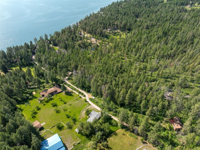 9230 Mt Highway 35, Bigfork, MT 59911 - drone / aerial view of a forest