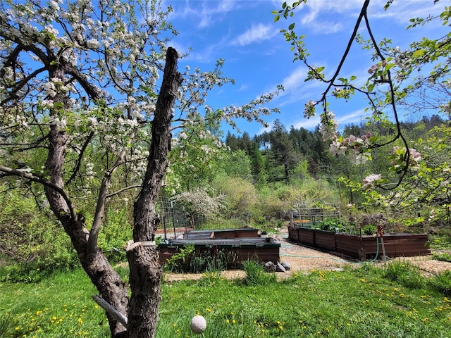 9230 Mt Highway 35, Bigfork, MT 59911 - view of yard with a garden