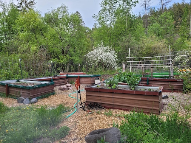 9230 Mt Highway 35, Bigfork, MT 59911 - view of property's community with a vegetable garden and a forest view