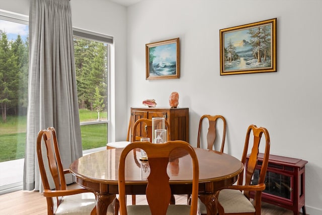 100 Bench Run, Columbia Falls, MT 59912 - dining room featuring wood finished floors