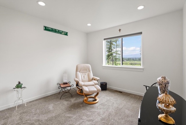 100 Bench Run, Columbia Falls, MT 59912 - sitting room featuring carpet floors, recessed lighting, and baseboards
