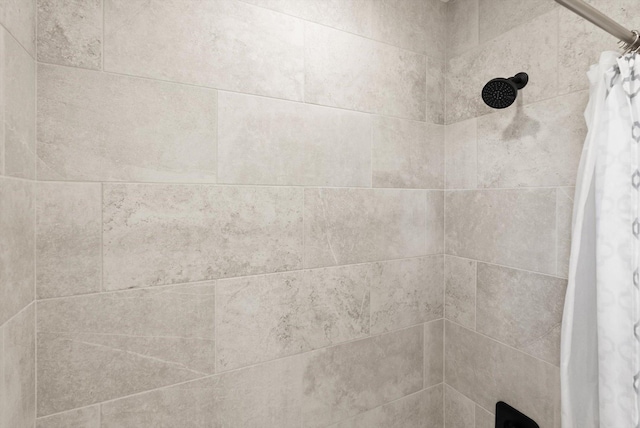 100 Bench Run, Columbia Falls, MT 59912 - bathroom view of tiled shower