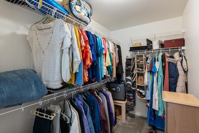 100 Bench Run, Columbia Falls, MT 59912 - spacious closet featuring carpet